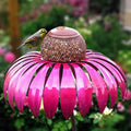 Colorful Cafeteria for Your Winged Guests