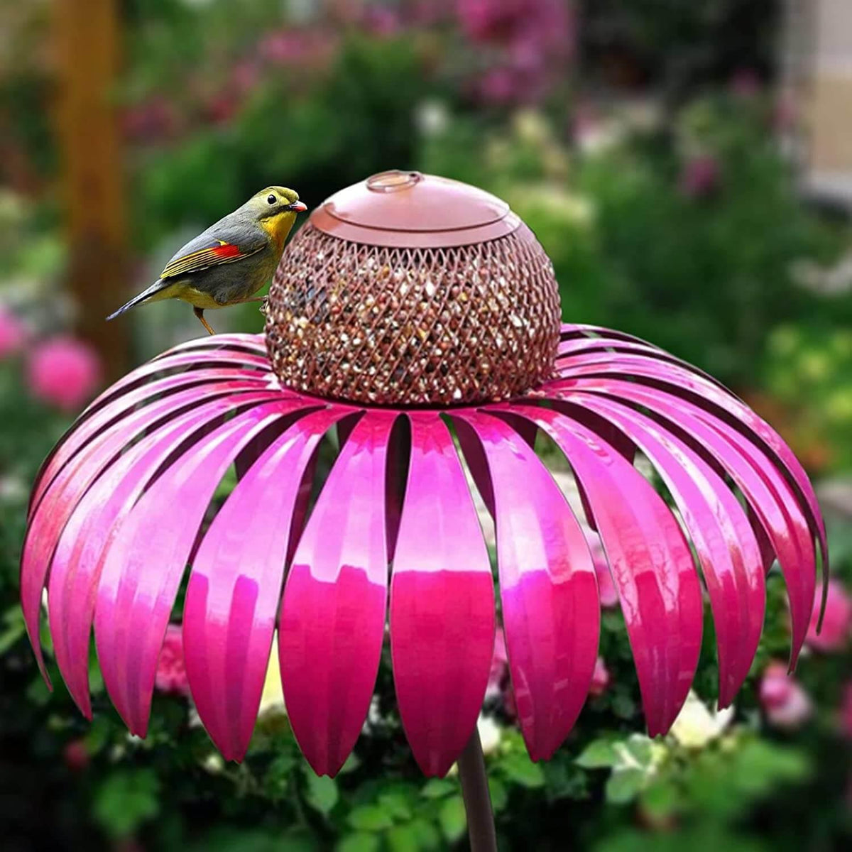 Colorful Cafeteria for Your Winged Guests