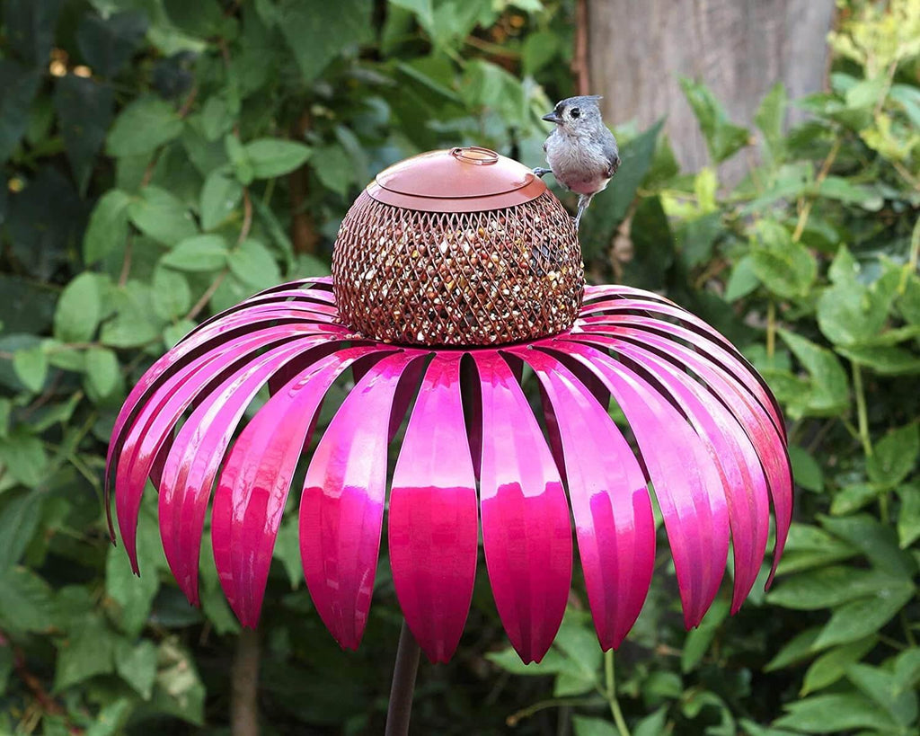 Colorful Cafeteria for Your Winged Guests