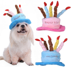 Birthday Hat for Dogs and Cats - PartyPaws