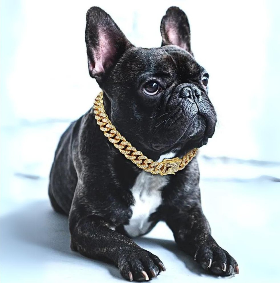 BlingPaws - Dog Gold Chain Collar