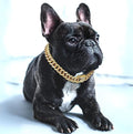 BlingPaws - Dog Gold Chain Collar