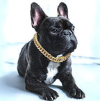 BlingPaws - Dog Gold Chain Collar
