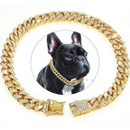 BlingPaws - Dog Gold Chain Collar