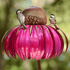 BloomFeast – Elegant cone-shaped feeder that blends with garden flowers.