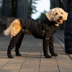 Boots for Safe Outdoor Adventures - PawShield