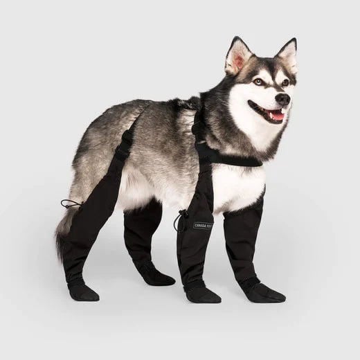Boots for Safe Outdoor Adventures - PawShield