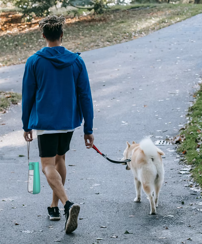 Dog Water Bottle - Travel Leaksafe 550ml