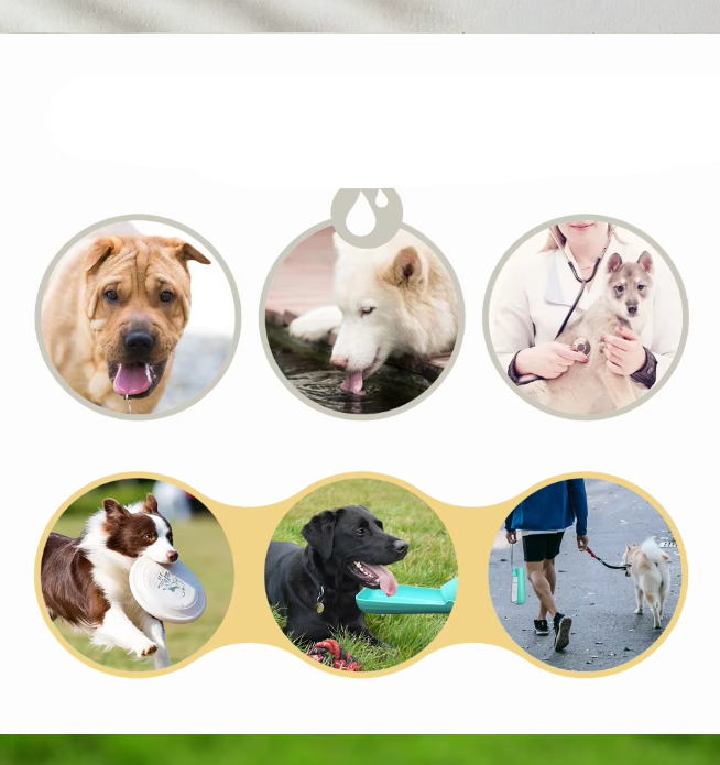 Dog Water Bottle - Travel Leaksafe 550ml