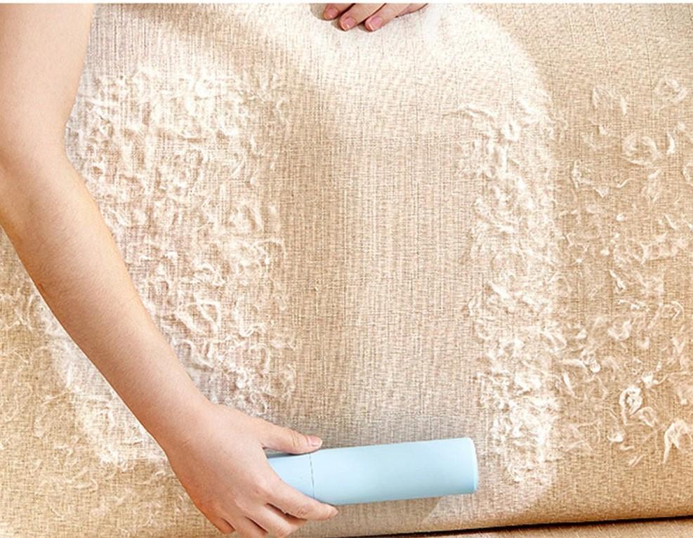 Portable Mini Pet Hair Remover