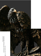 Decorative Bronze Eagle Sculpture – Aquila