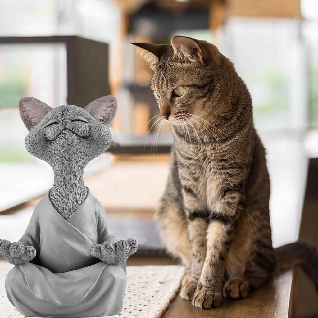 Buddha cat with a meditative expression and spiritual message