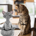 Buddha cat with a meditative expression and spiritual message