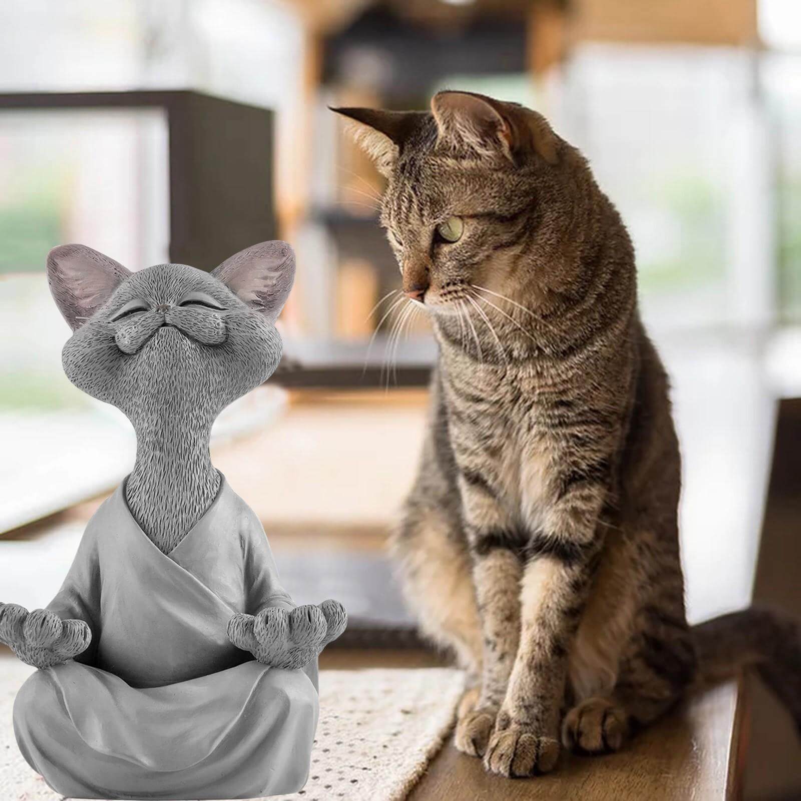 Buddha cat with a meditative expression and spiritual message