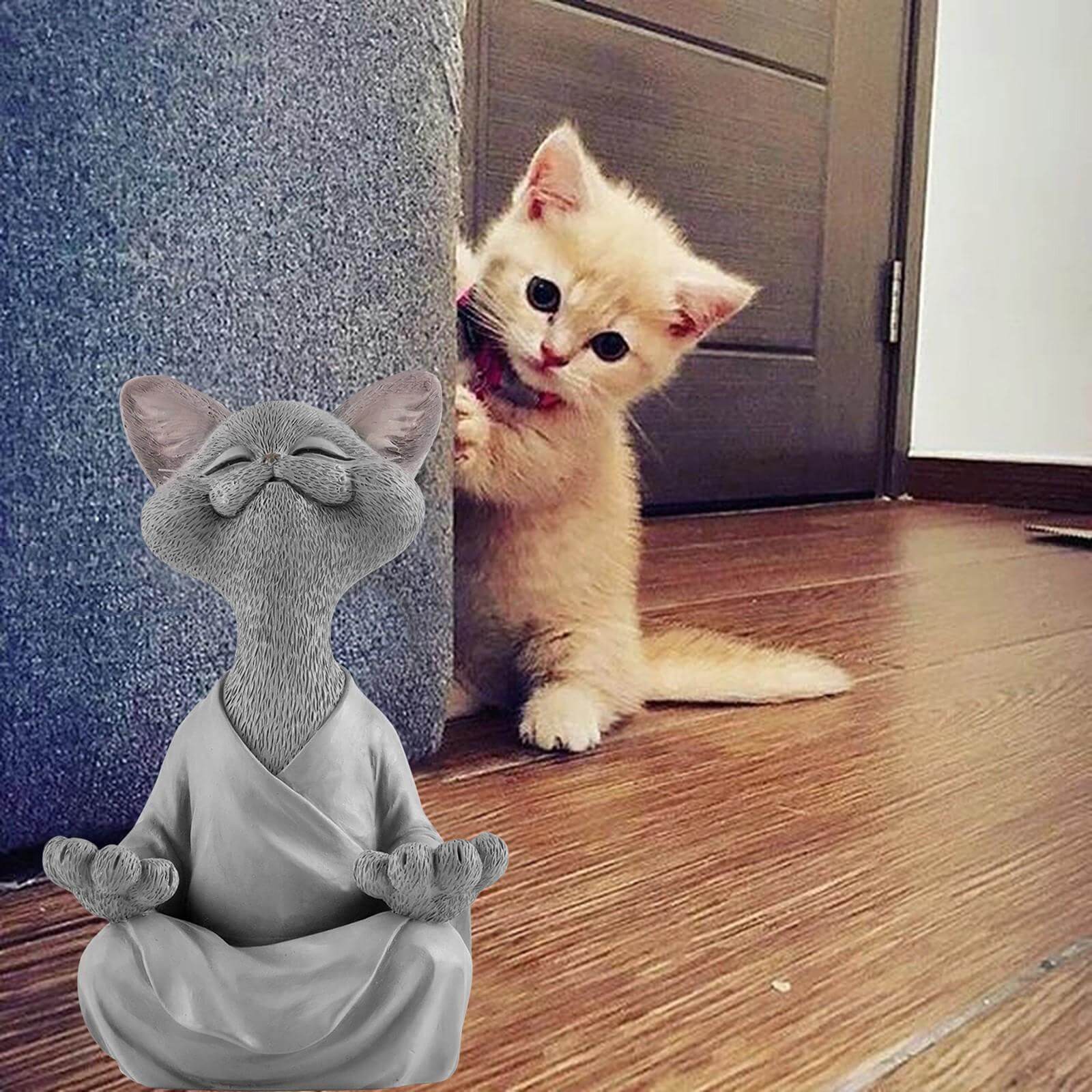 Buddha cat with a meditative expression and spiritual message