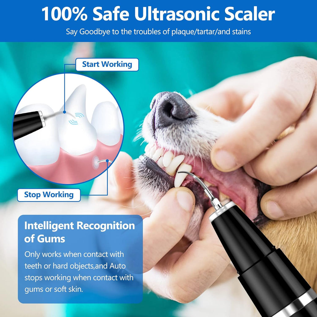 BuddyCare Ultrasonic Pet Dental Cleaning Kit