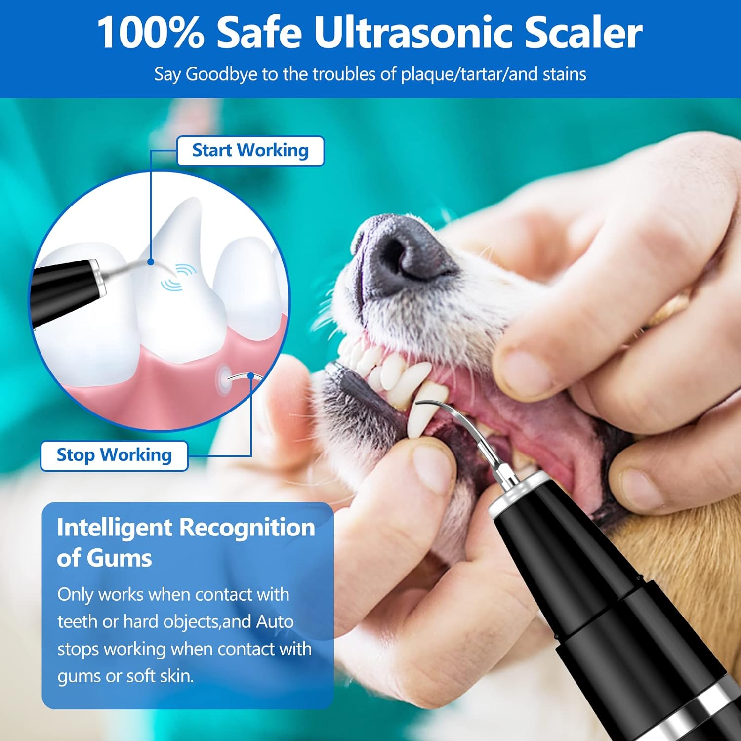 BuddyCare Ultrasonic Pet Dental Cleaning Kit