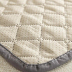 BuddyGuard Luxe Pet Sofa Protector