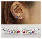 Glamour | Shiny Zircon 925 Sterling Silver Earring