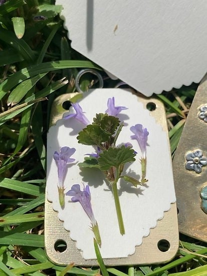 FloraKeep – Keep your beloved flowers fresh forever!