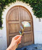 For the Gift to Your Loved Ones - Colorful Glass Rose