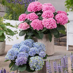 Outdoor Artificial Hydrangea Flowers