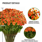 AutumnBlaze — Your worry-free garden hit with colors that enchant every autumn!