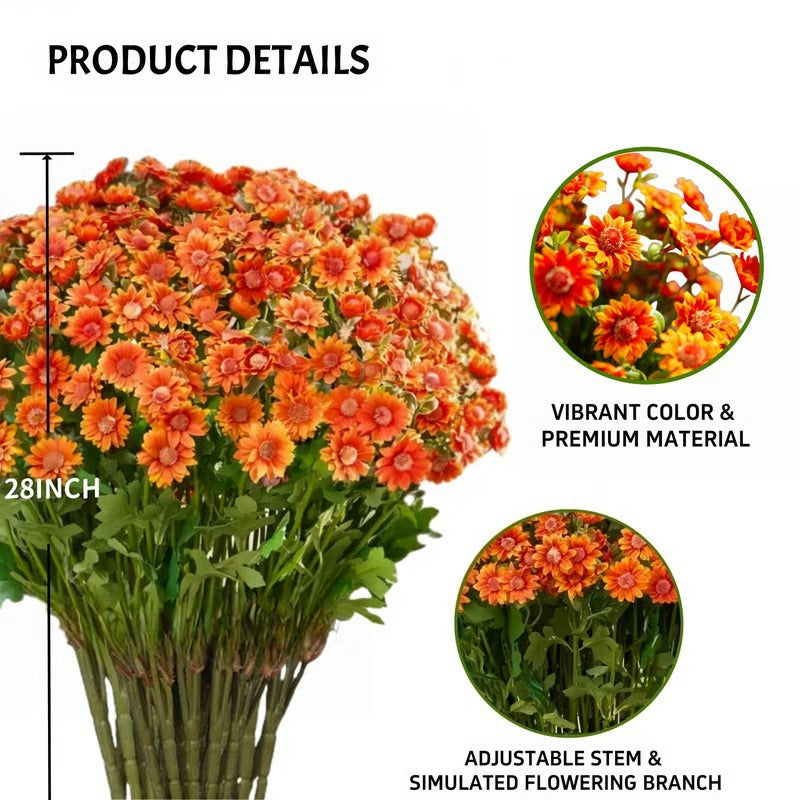 AutumnBlaze — Your worry-free garden hit with colors that enchant every autumn!