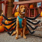 Funny Furry Dog Halloween Costume | Spider Design