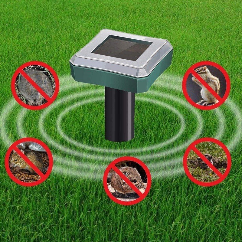 Repel pests - Healthy and protected garden - Eco-friendly and effective