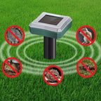 Repel pests - Healthy and protected garden - Eco-friendly and effective