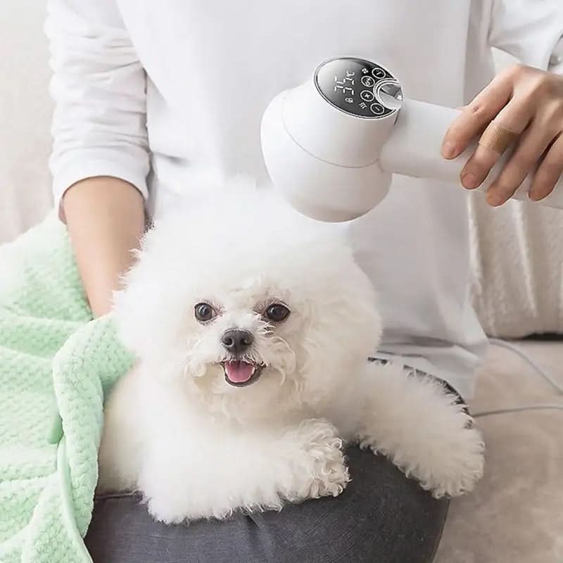 Quiet Hair Dryer with Ion Technology for Pets