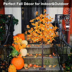MapleGlow LED illuminated maple tree | Atmospheric lighting | Decor for indoor & outdoor