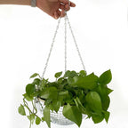 Disco Ball Hanging Planter