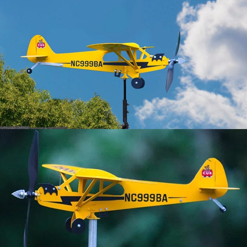 Weather vane for flying
