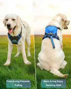 mamymarket™ - Dog Harness and Retractable Leash Set All-in-One