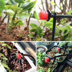 StreamSet Effortless Irrigation Adjustment