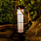 SolarRay - Durable Outdoor Solar LED Light