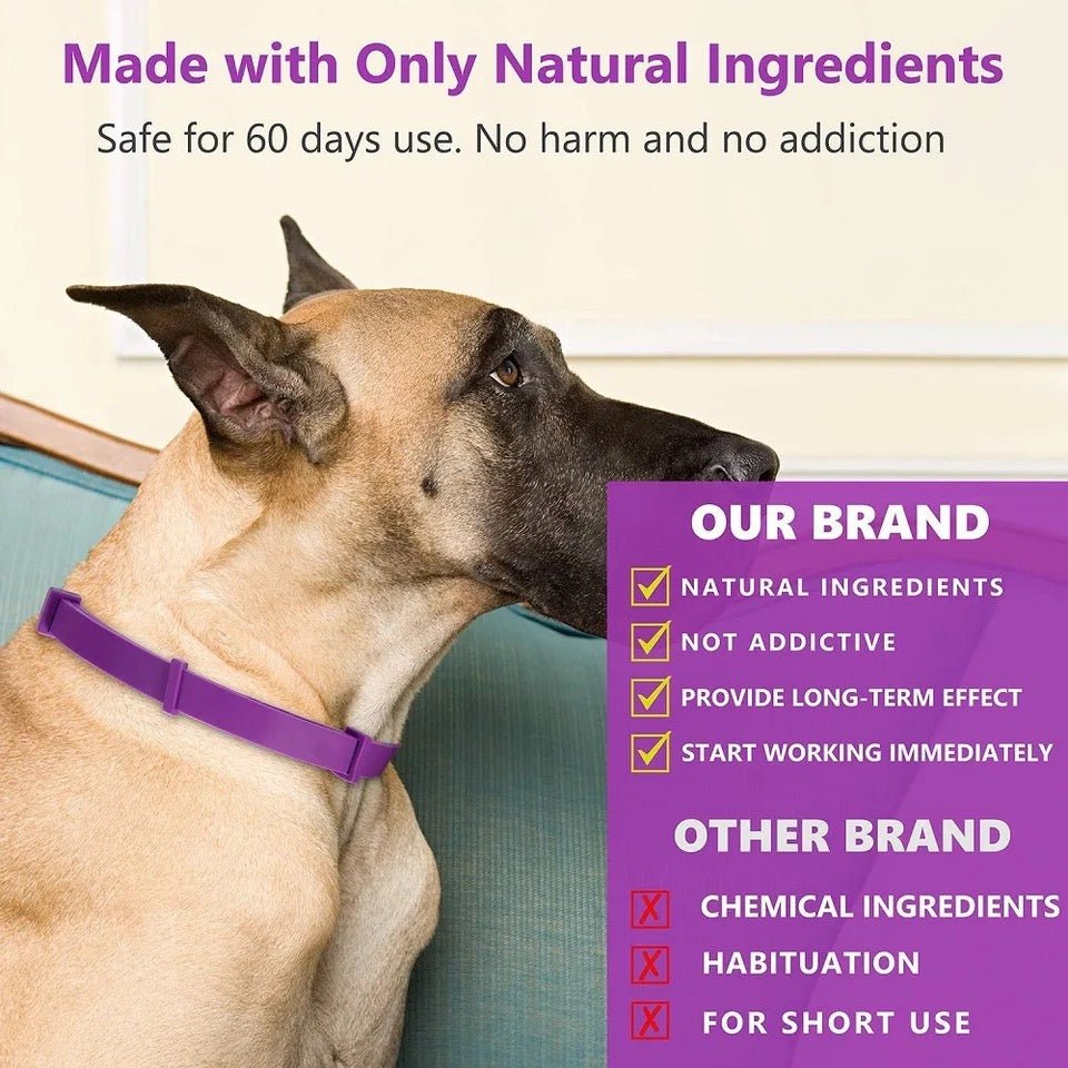 Calmdog – Natural Calming Collar for Dogs with Pheromones and Essential Oils