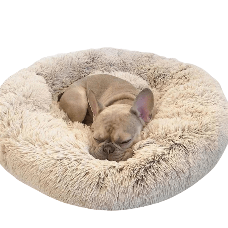 SLUMBERPAWS BED – Calming Dog Bed for Deep, Restful Sleep