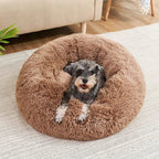 SLUMBERPAWS BED – Calming Dog Bed for Deep, Restful Sleep