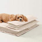 Calming Dog Bed - CozyCalm Deep Sleep