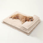 Calming Dog Bed - CozyCalm Deep Sleep