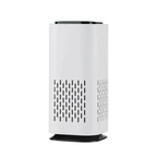 Air purifier - Healthy breathing - Fresh and clean atmosphere