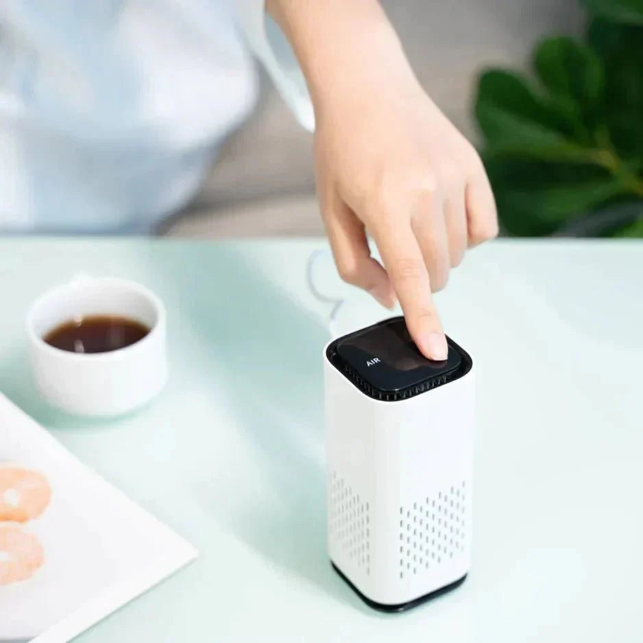Air purifier - Healthy breathing - Fresh and clean atmosphere