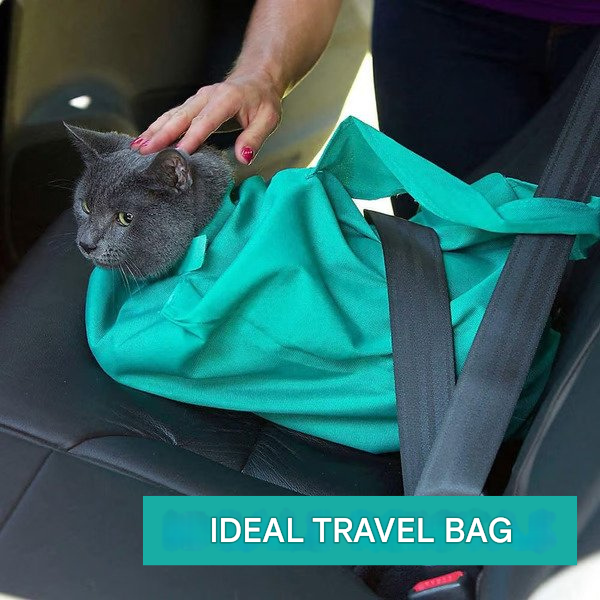 Cat Carrier for Comfortable Transport (Buy 1 Get 1 Free) - PurrPorter
