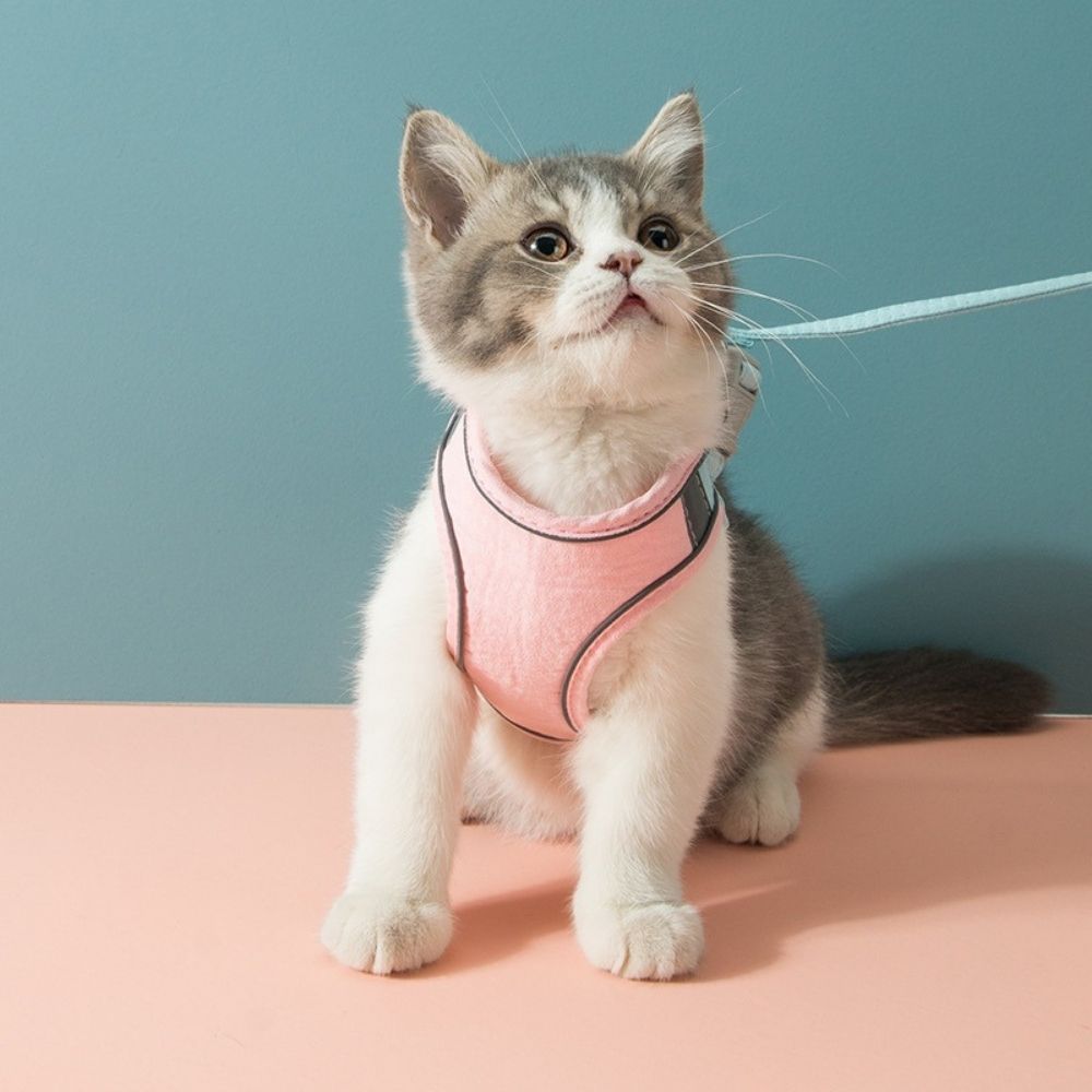 Cat Harness - Oscar