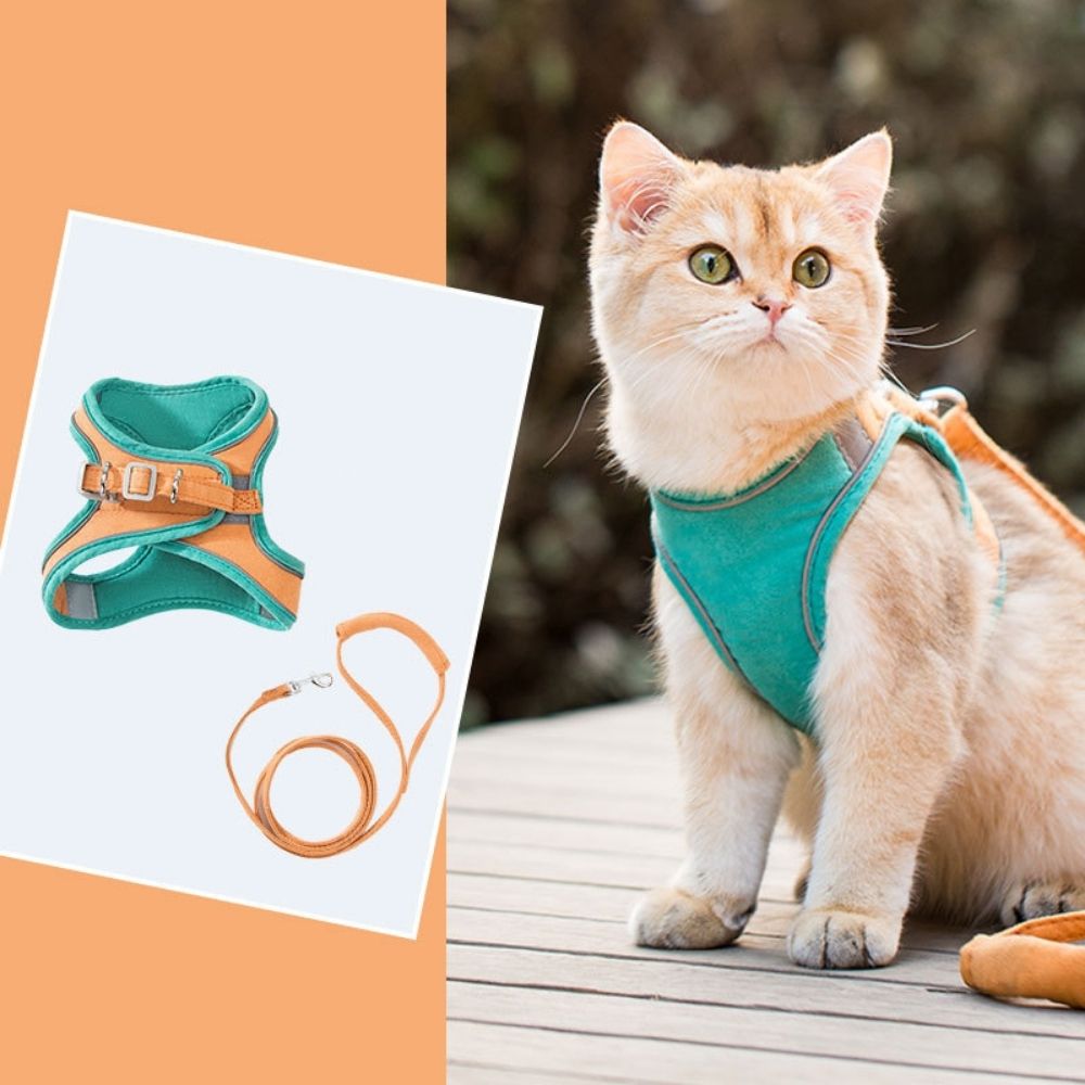 Cat Harness - Oscar