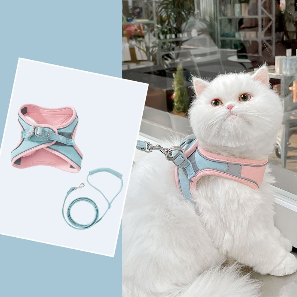 Cat Harness - Oscar