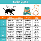 Cat Harness - Oscar